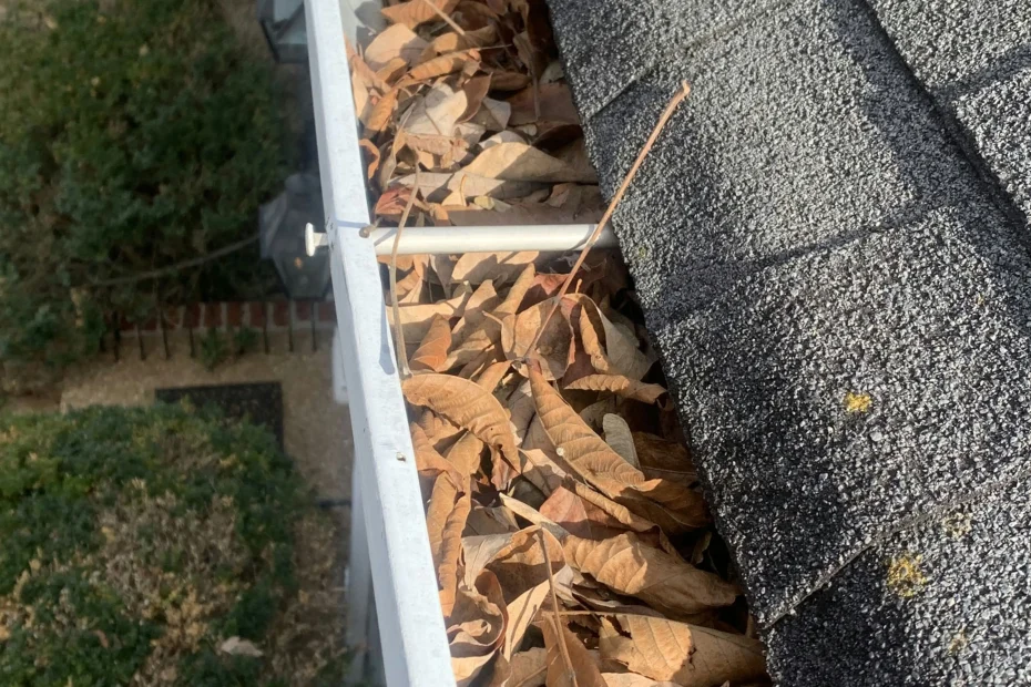 Gutter Cleaning Swansea SC