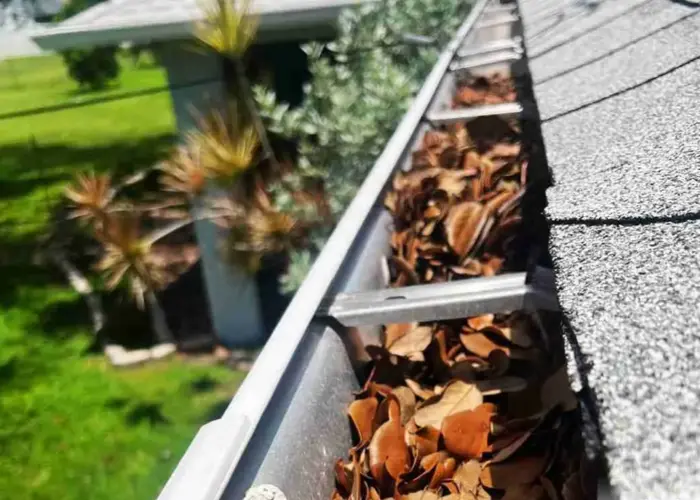 Gutter Cleaning Swansea SC home page